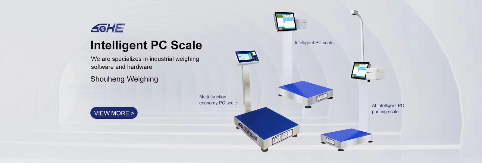 Platform scale