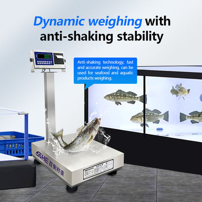Customizable 200kg Stainless Steel Scales with Waterproof Design and Printing Function