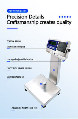 A8SP Printing Small Platform Scale with 6KG Capacity and 22cm*28cm Square Vertical Bar