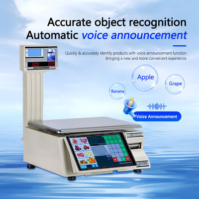15kg Touch Screen Label Printing Weighing Scale with LED LCD Display and 1*RS232 Port Type