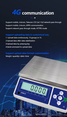 SHWDL-4G 3-30KG Industrial Weighing Scale with LCD Display High Precision Table Scale