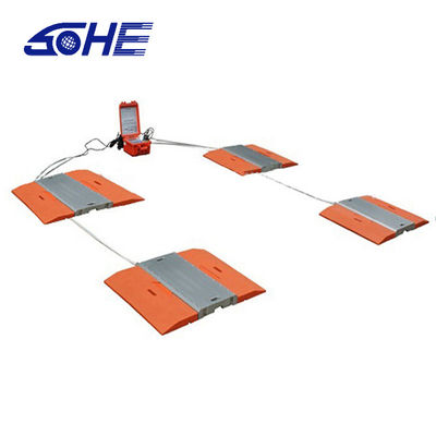 Customized OBM Support Unique and Truck Scale Anticorrosion with LED LCD Display Type