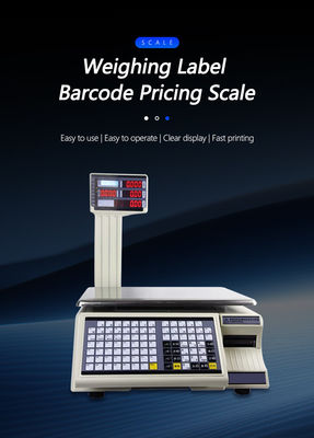 Streamlined 30kg Division 10g Table Scale with Advanced Printing and Bar Code Function