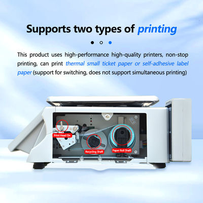 Streamlined 30kg Division 10g Table Scale with Advanced Printing and Bar Code Function