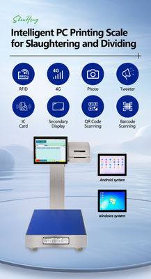 Fully Waterproof Smart Scale 60KG Weighing with 304 Stainless Steel and Smart Screen