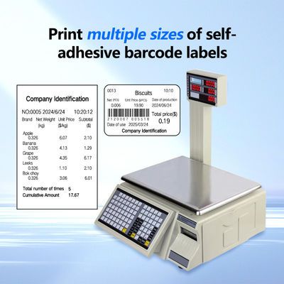 SHW-TMC 30kg Bar Code Printing Table Scale with AC/DC Power Supply and Maximum Range