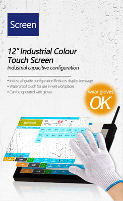 12 Inch Desktop Screen 15-200kg Pork and Beef Processing Label Scale with 12V/3V Power Supply