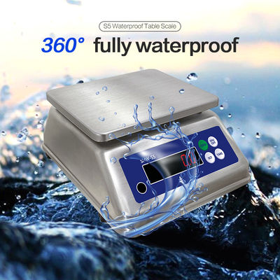 All Stainless Steel Table Scale with Double Screen and IP68 Protection Level 30kg