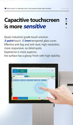 Fully Waterproof Smart Scale 30KG with Plug-in Design and Label Printing