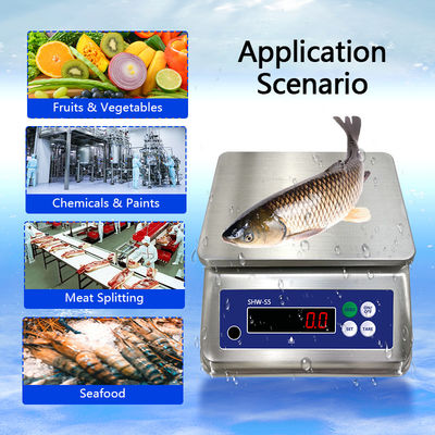 6kg Maximum Weighing Stainless Steel Scale with Dual Display and IP68 Waterproof Rating