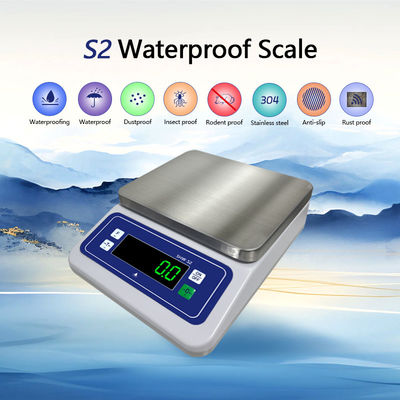 Product Idea 2024 304 Stainless Steel Balance Scale 6KG Maximum Range Unit lb oz g