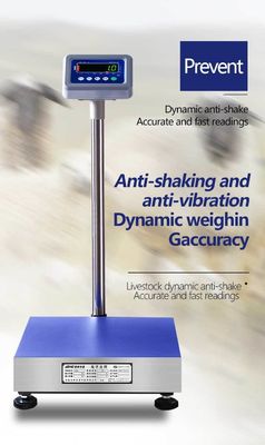 ABS stainless steel Electronic Platform Scale for Industrial Weighing Applications