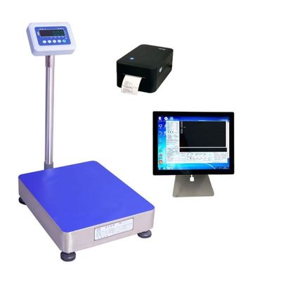 Industrial Platform Weighing Scale with 60kg-100kg LED Display and 30-800kg Range