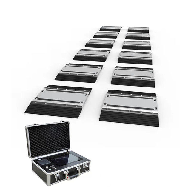 Customized OBM Support Unique and Truck Scale Anticorrosion with LED LCD Display Type