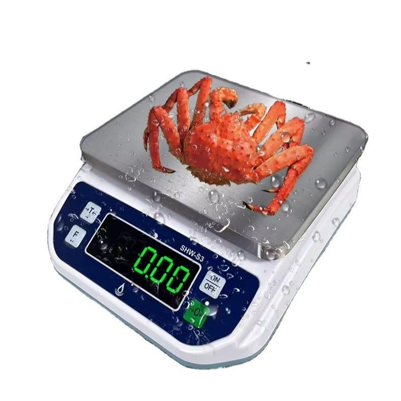 6KG Capacity LED Display Waterproof Scale for Food Processing Baking and High Precision